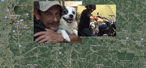 Motorcycle-riding dog survives crash that killed owner